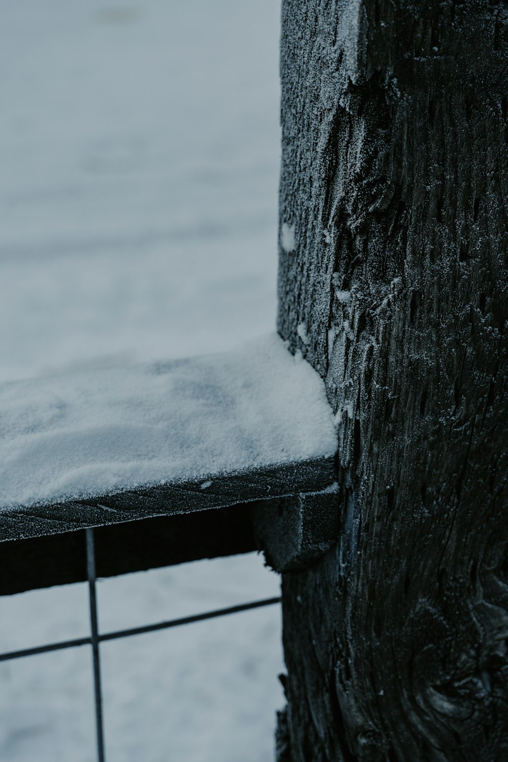 black plank covered with snow