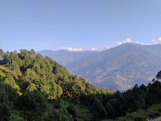 A serene mountain landscape in Himachal Pradesh with pine trees and a clear blue sky.