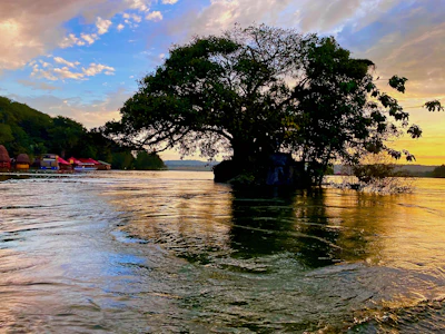 The Nile at its source, at sunset — Jinja, Uganda