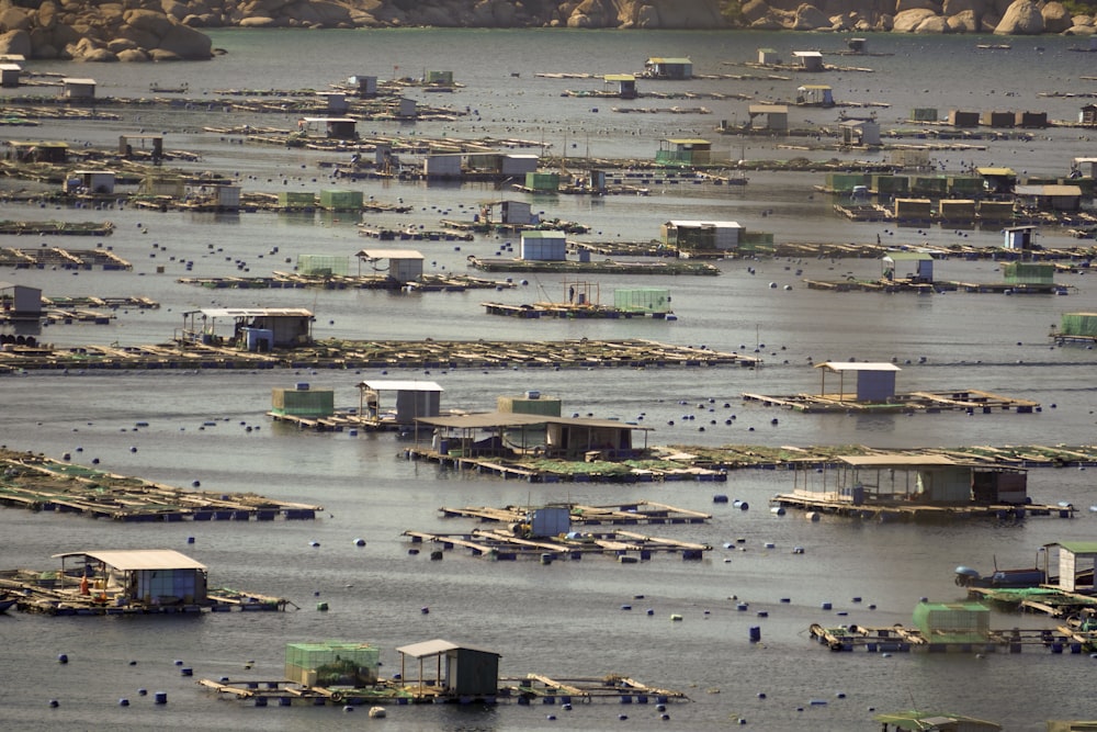 houses on body of water \