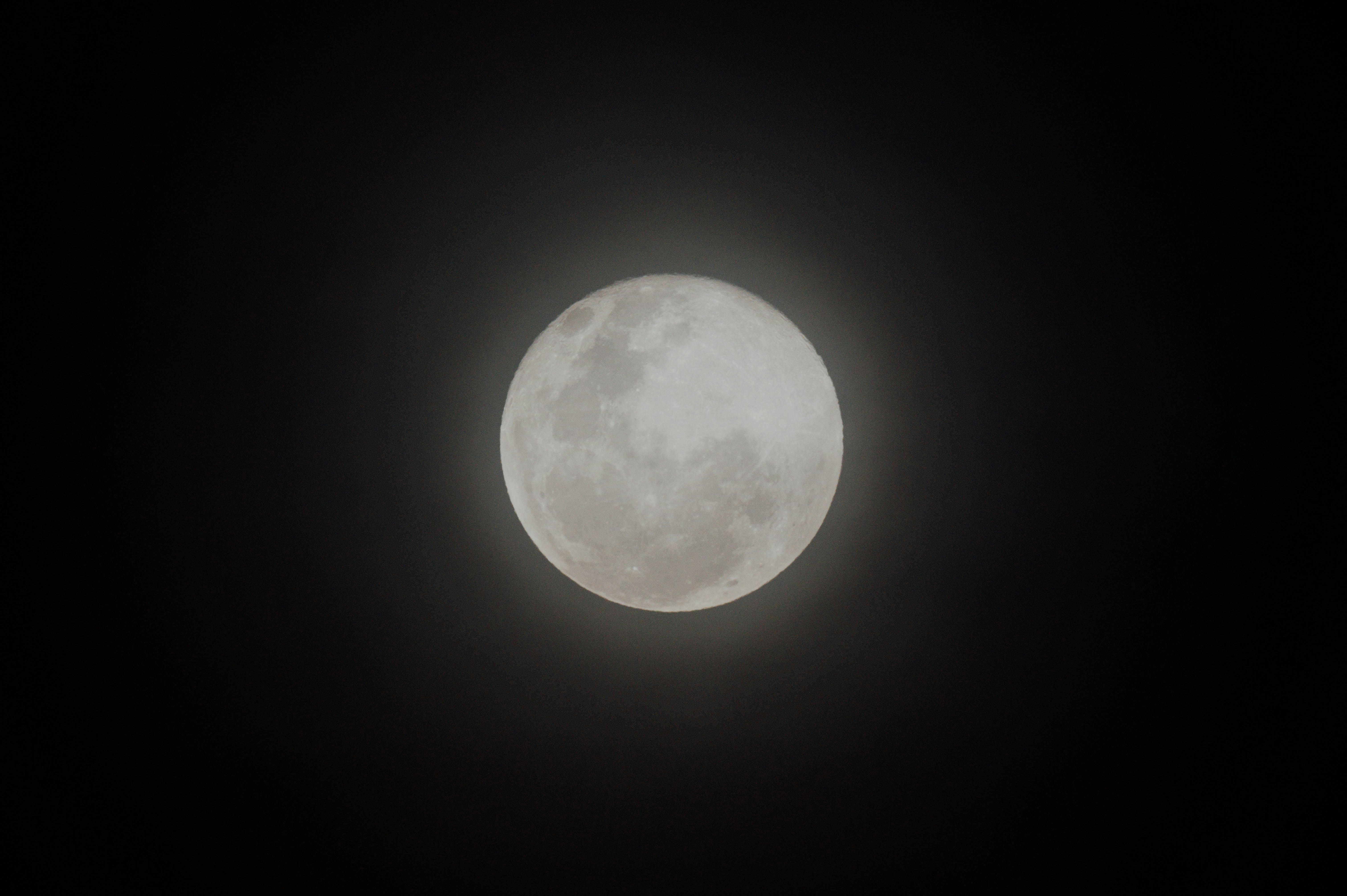 BooBank header image