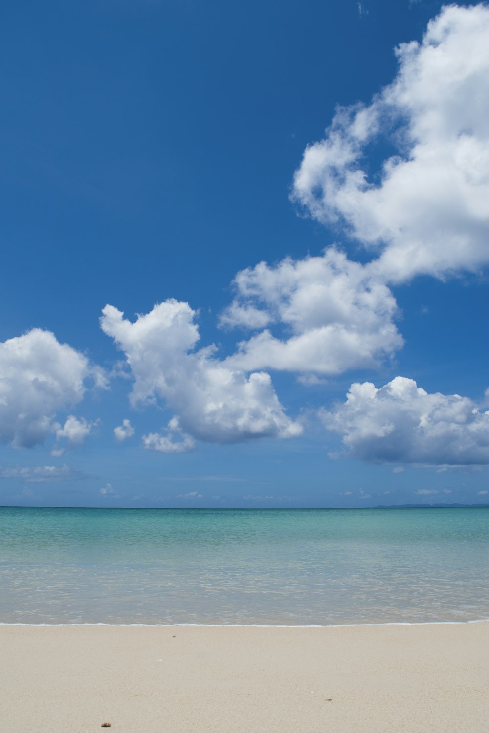 a sandy beach under a blue sky with clouds