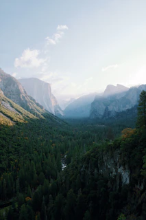 Stunning view of the Ordesa Valley with towering cliffs and lush greenery under a clear blue sky.