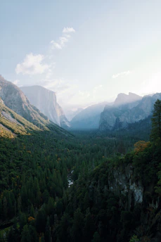 Stunning view of the Ordesa Valley with towering cliffs and lush greenery under a clear blue sky.