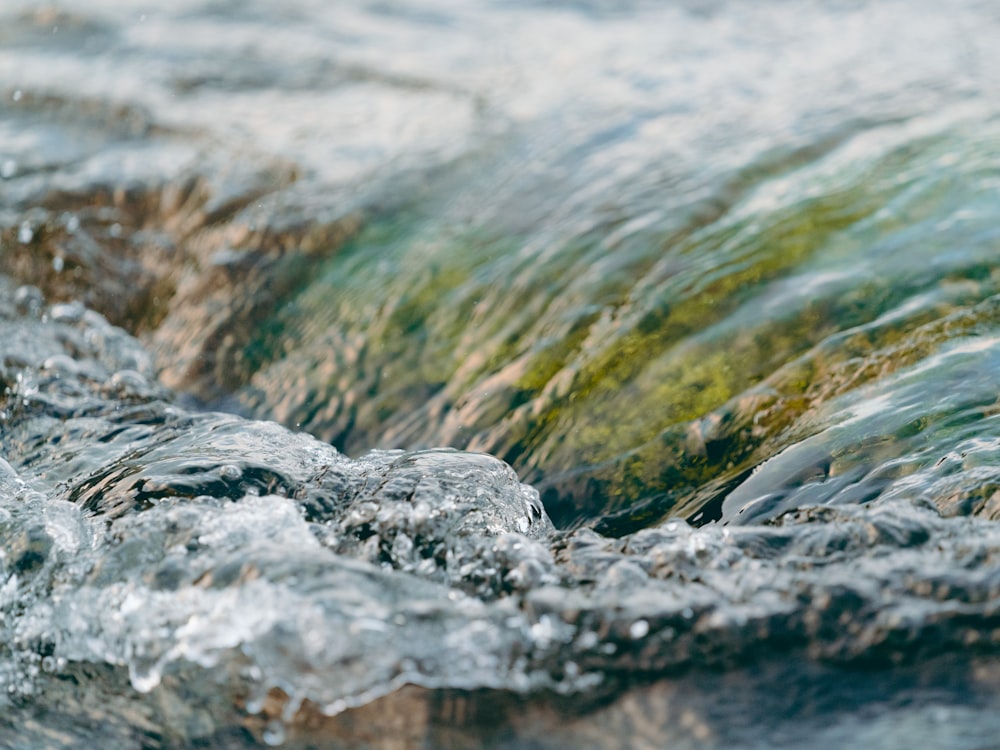 body of water photograph