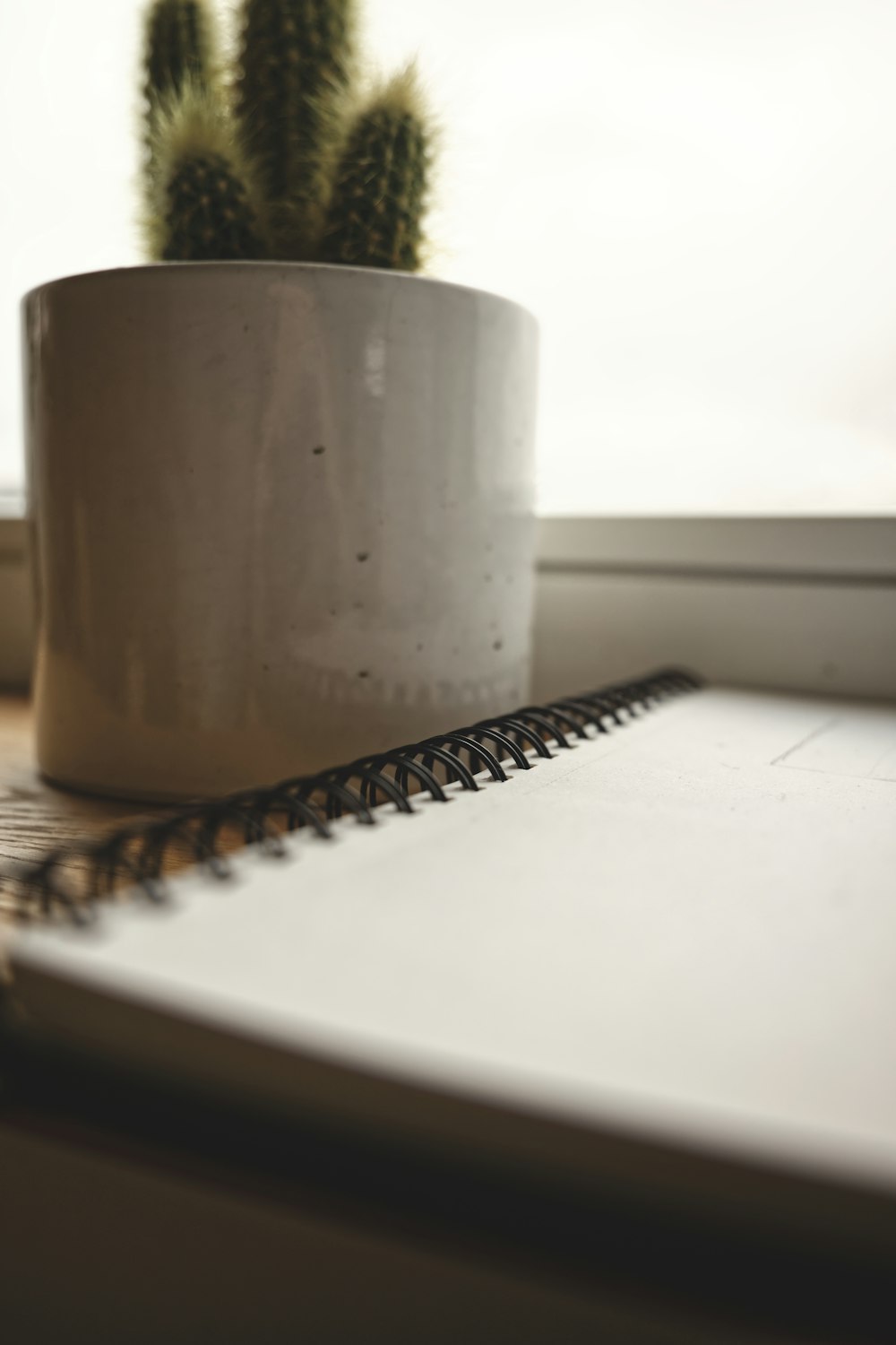 Un cuaderno y un cactus en un escritorio