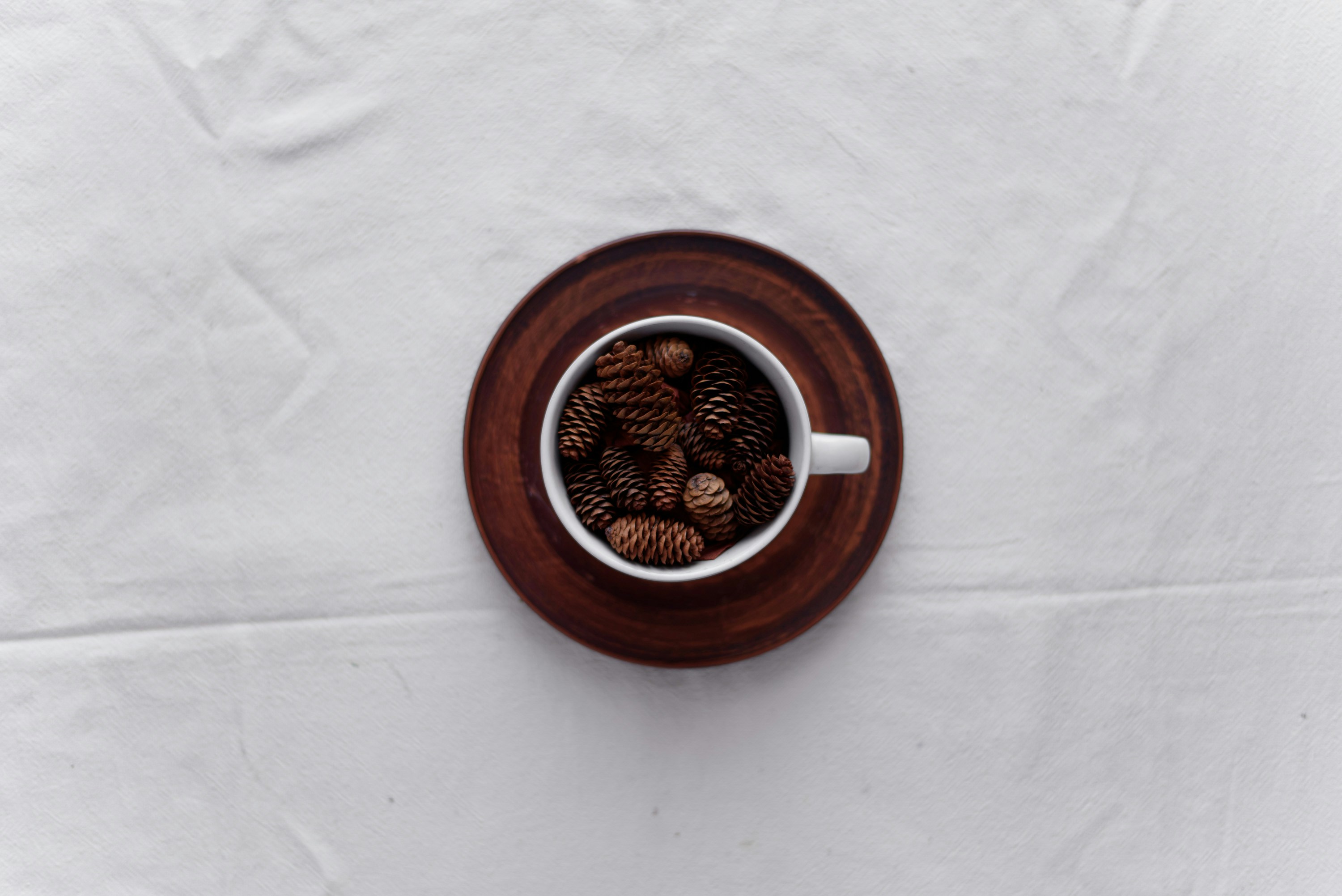 Web app setup with Traefik2