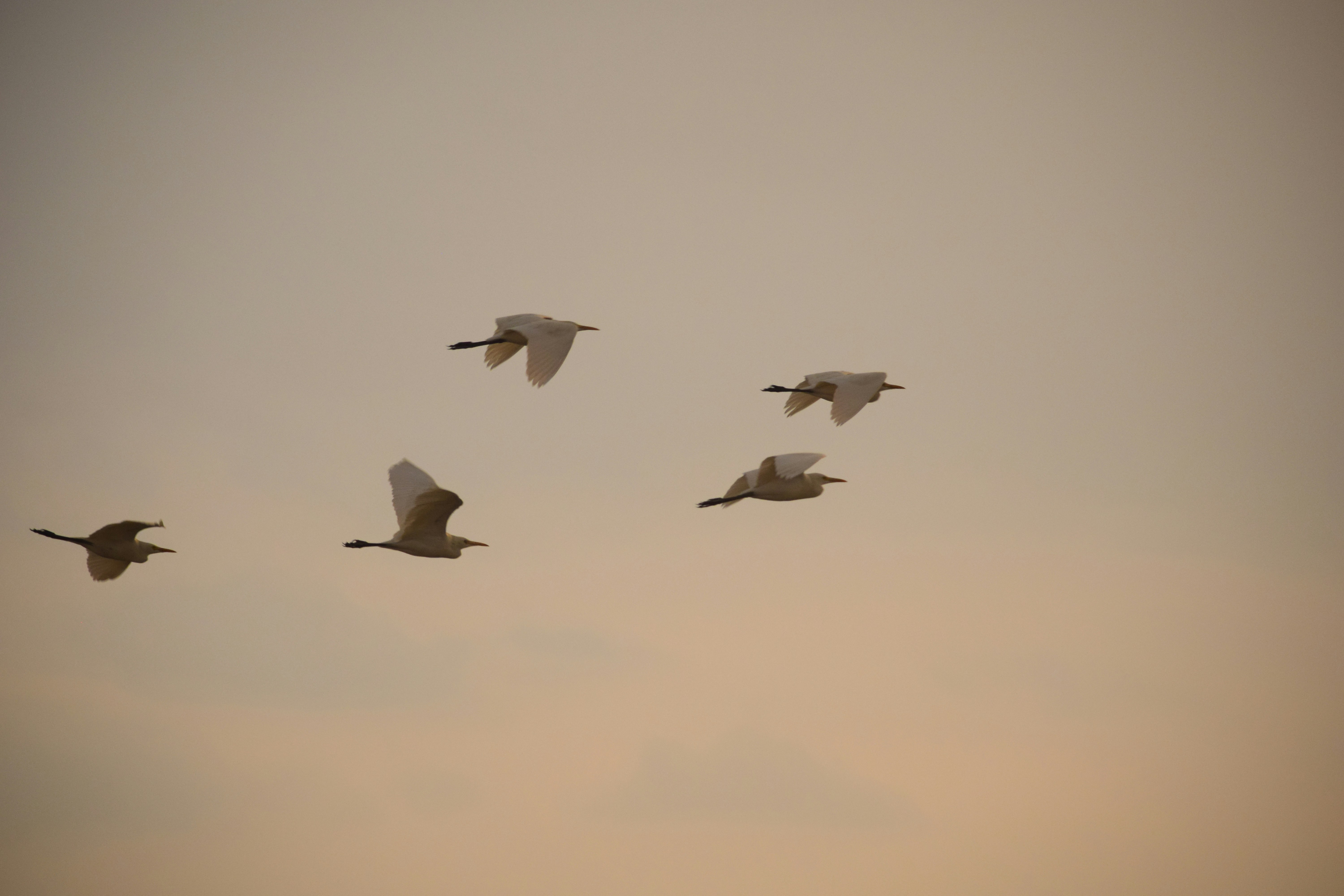 Photo by rrajputphotography