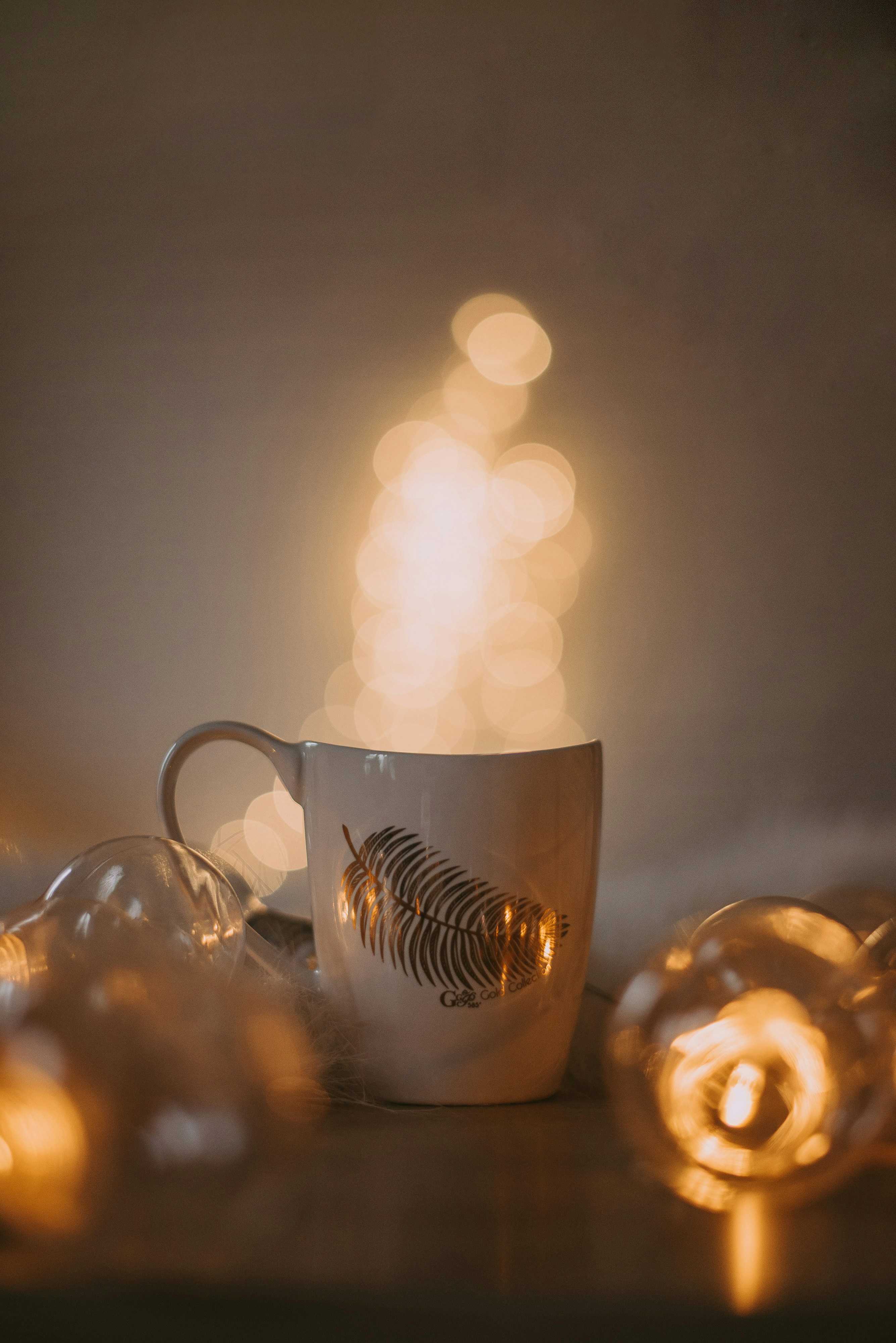 Photo by shadrinaphotography