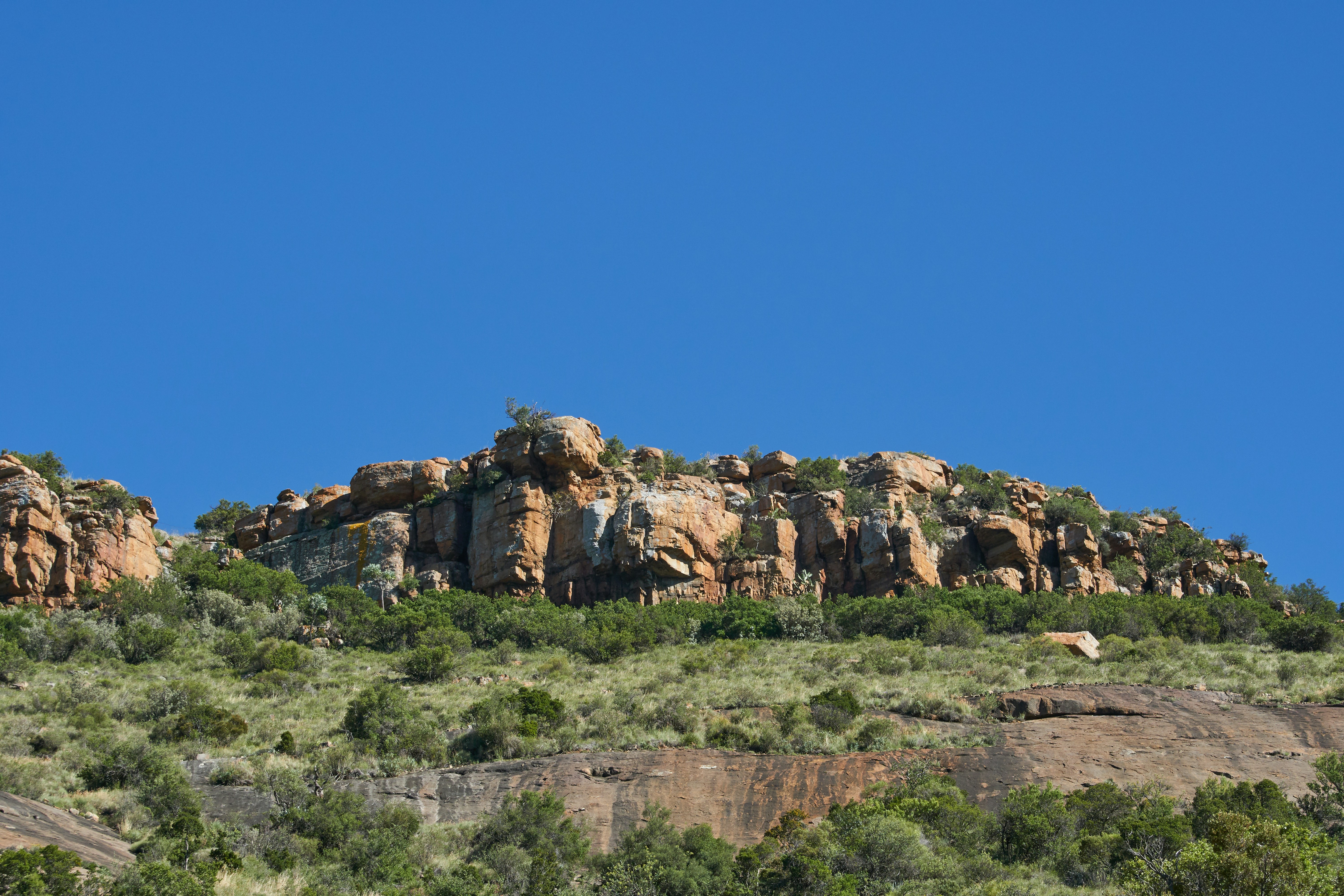 Photo by wolfgang_hasselmann