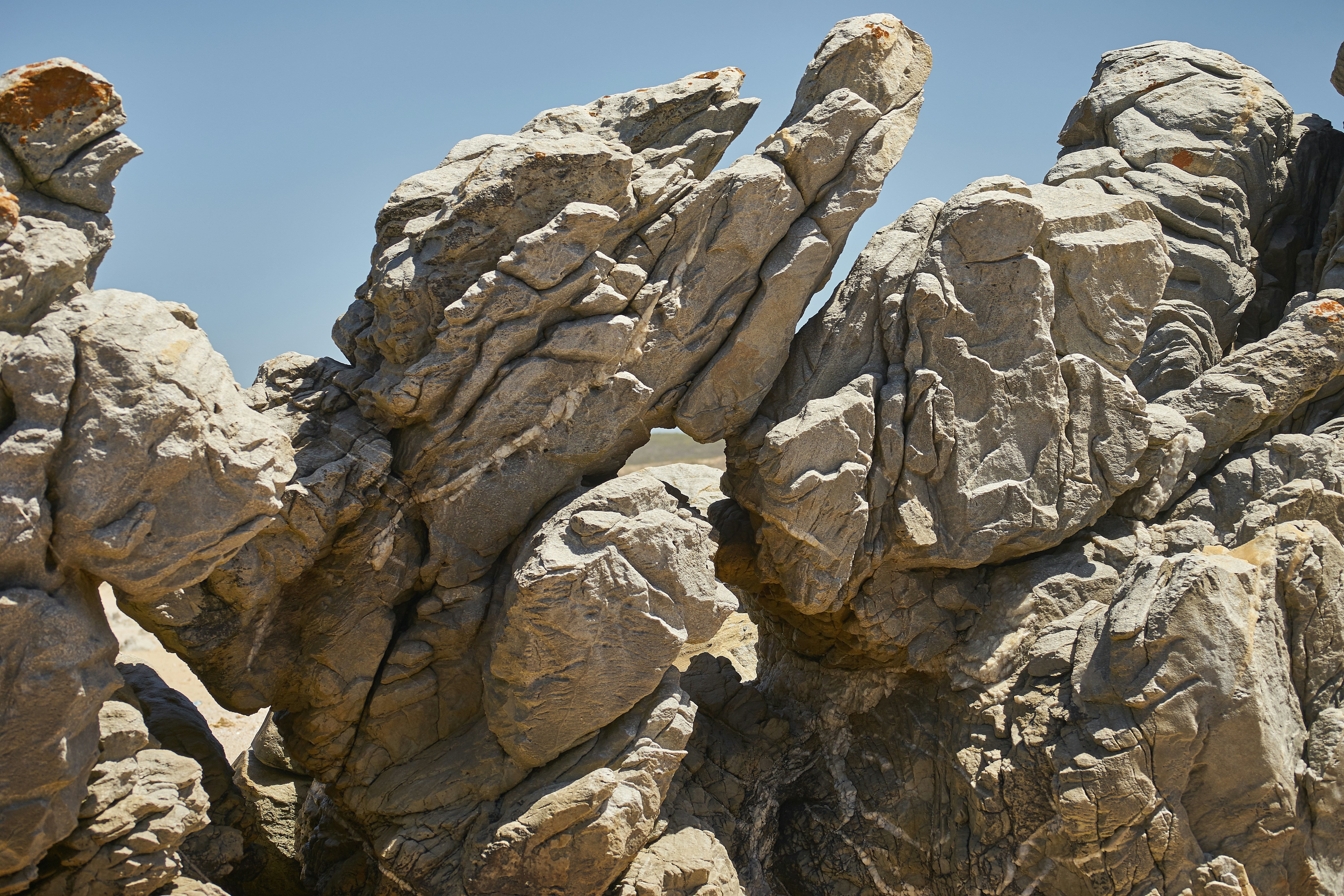 Photo by wolfgang_hasselmann