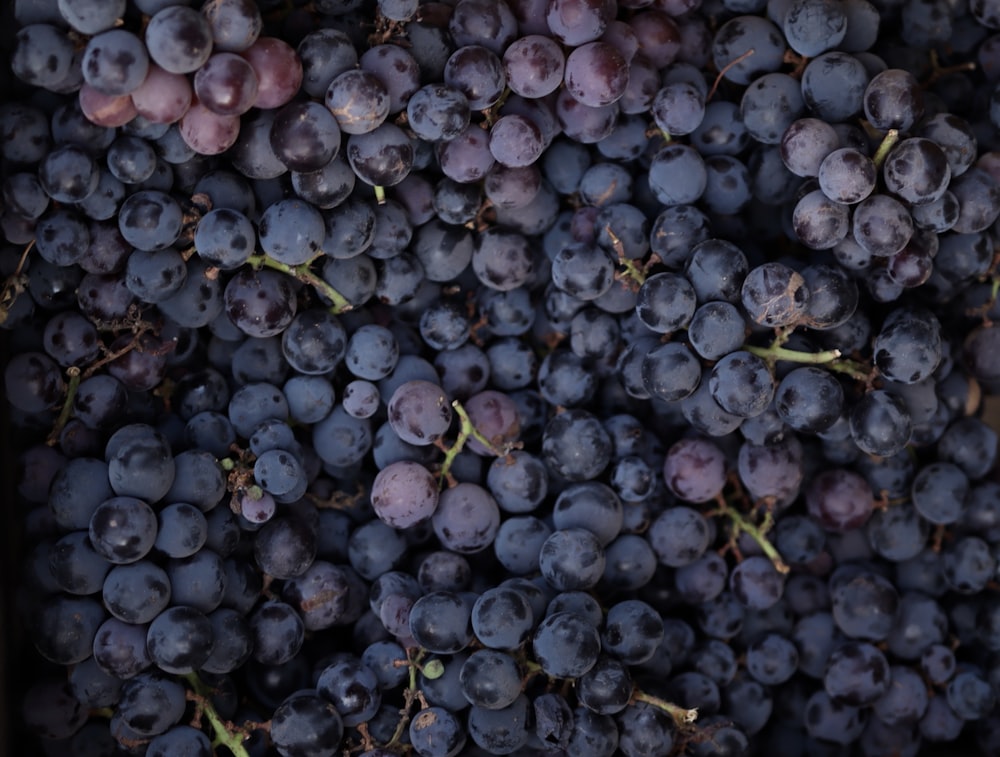 purple grapes lot