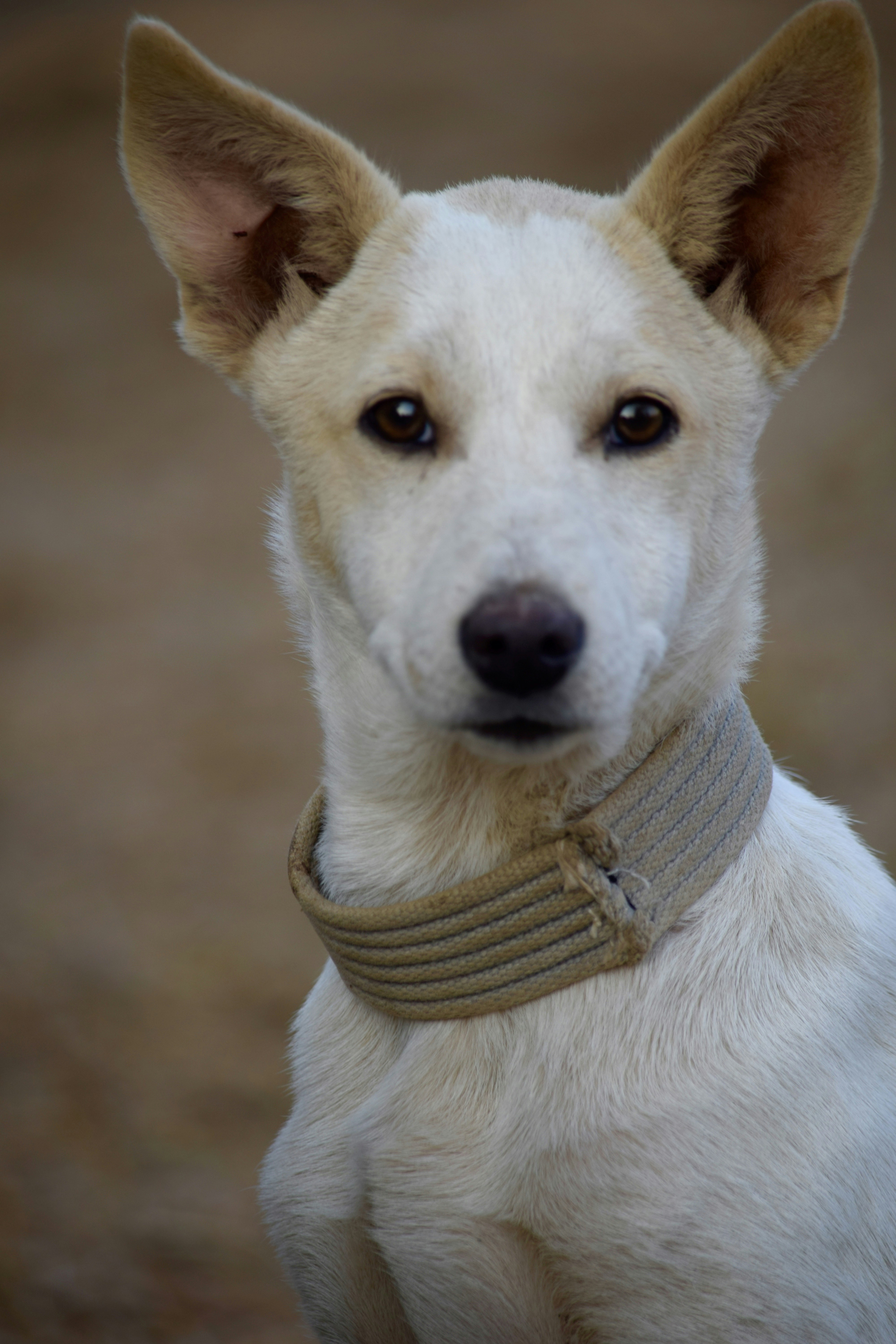 Photo by rrajputphotography