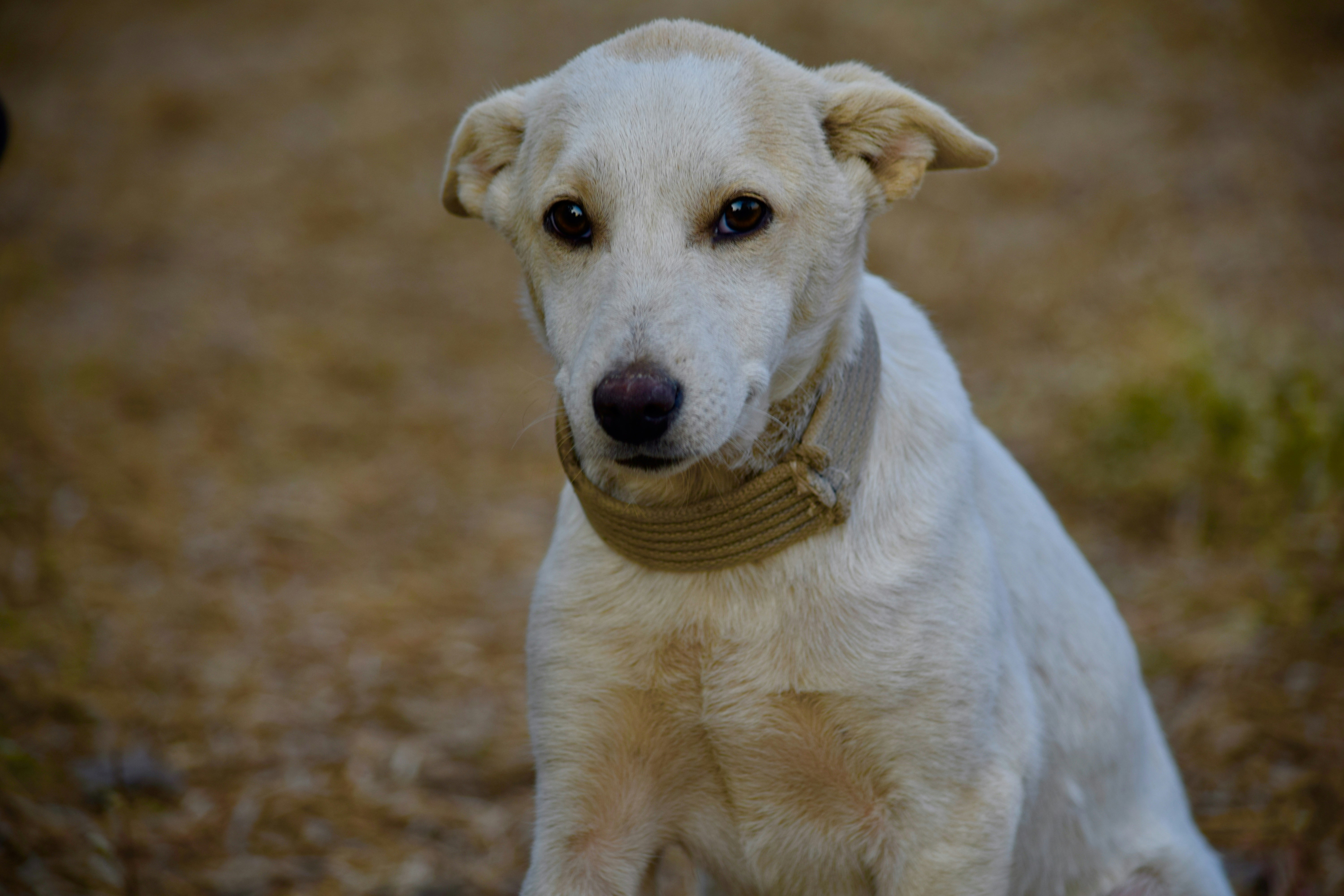 Photo by rrajputphotography