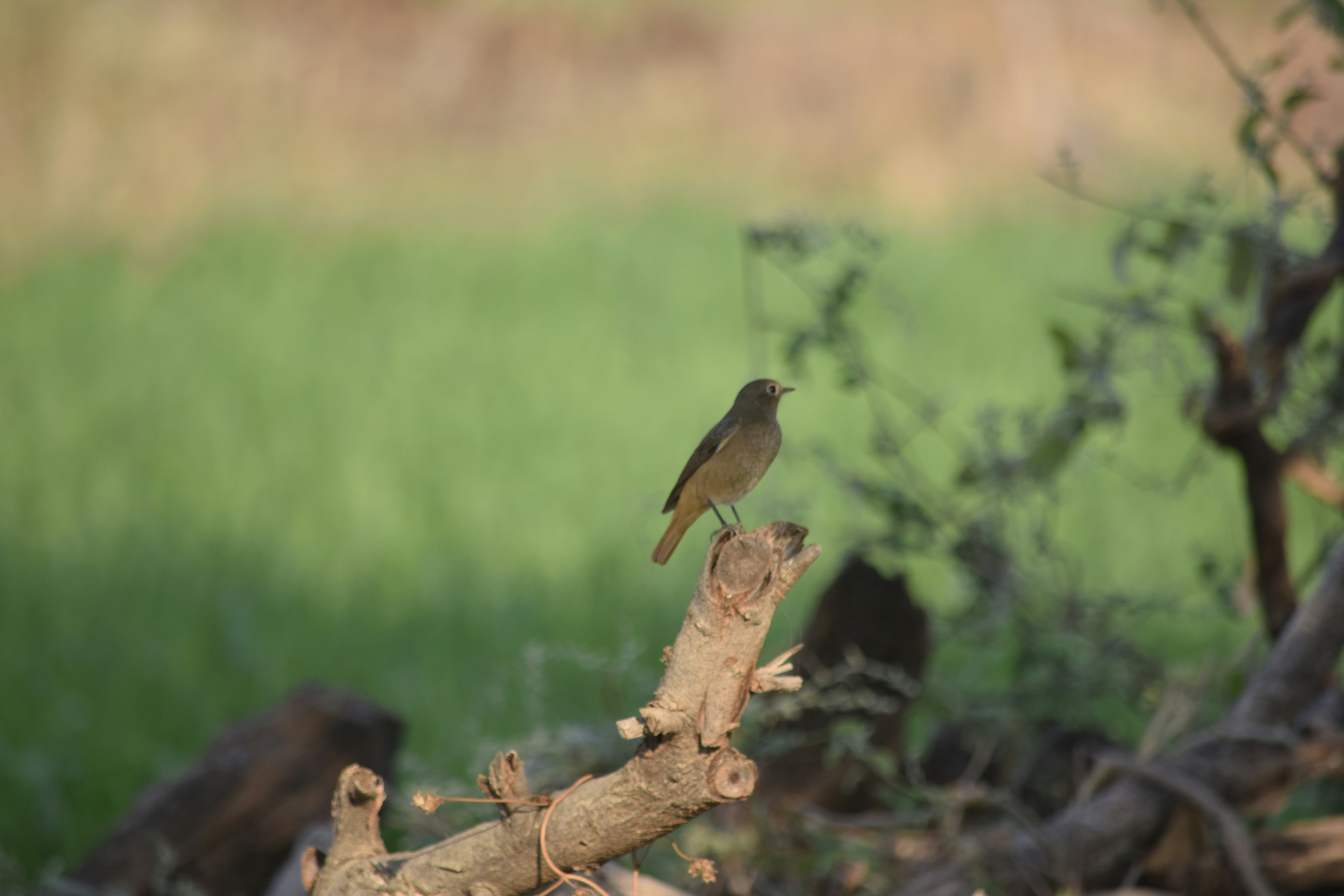 Photo by rrajputphotography