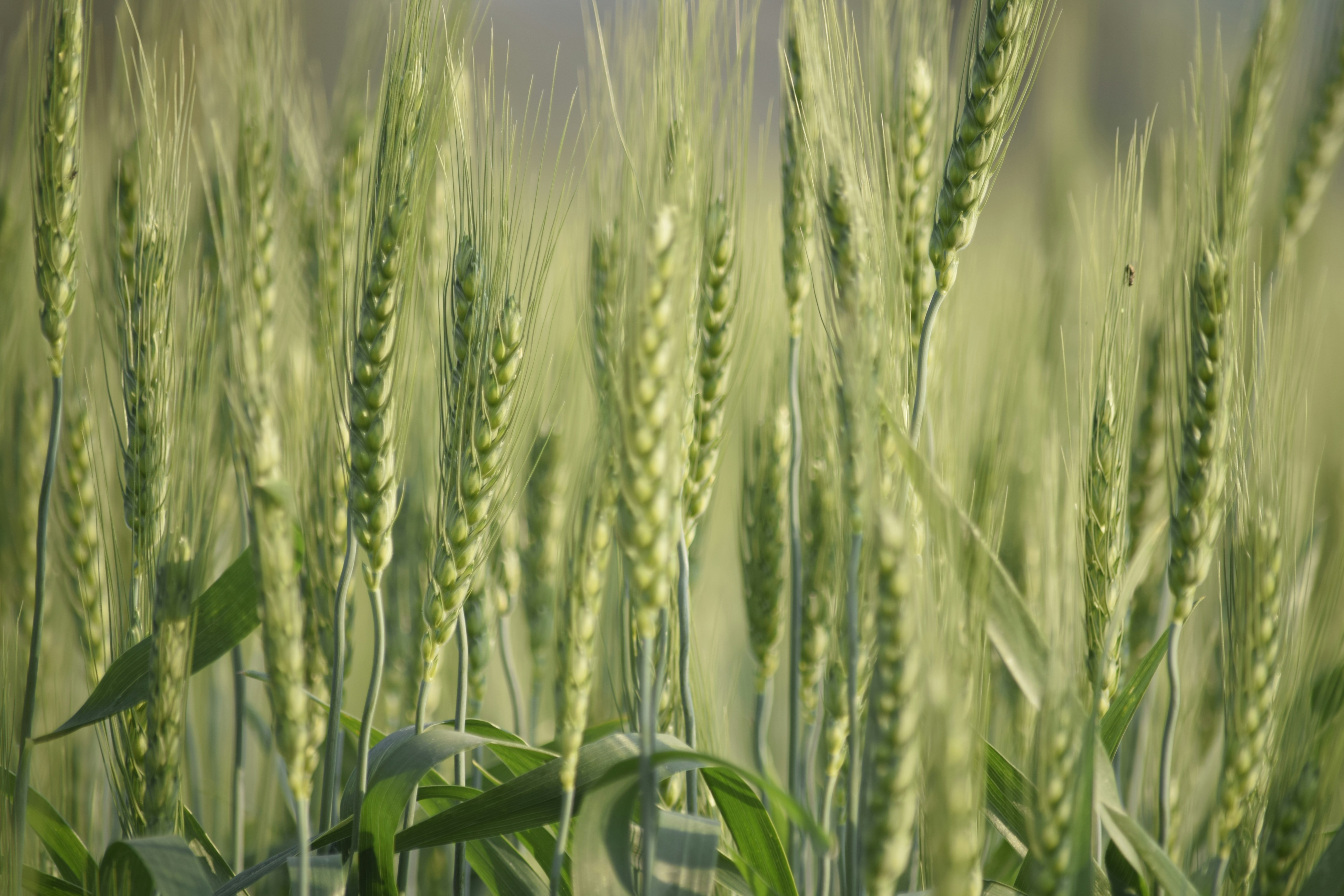 Photo by rrajputphotography