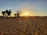 A golden sunset casting long shadows over sand dunes with a group of explorers trekking in the distance.