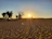 A golden sunset casting long shadows over sand dunes with a group of explorers trekking in the distance.