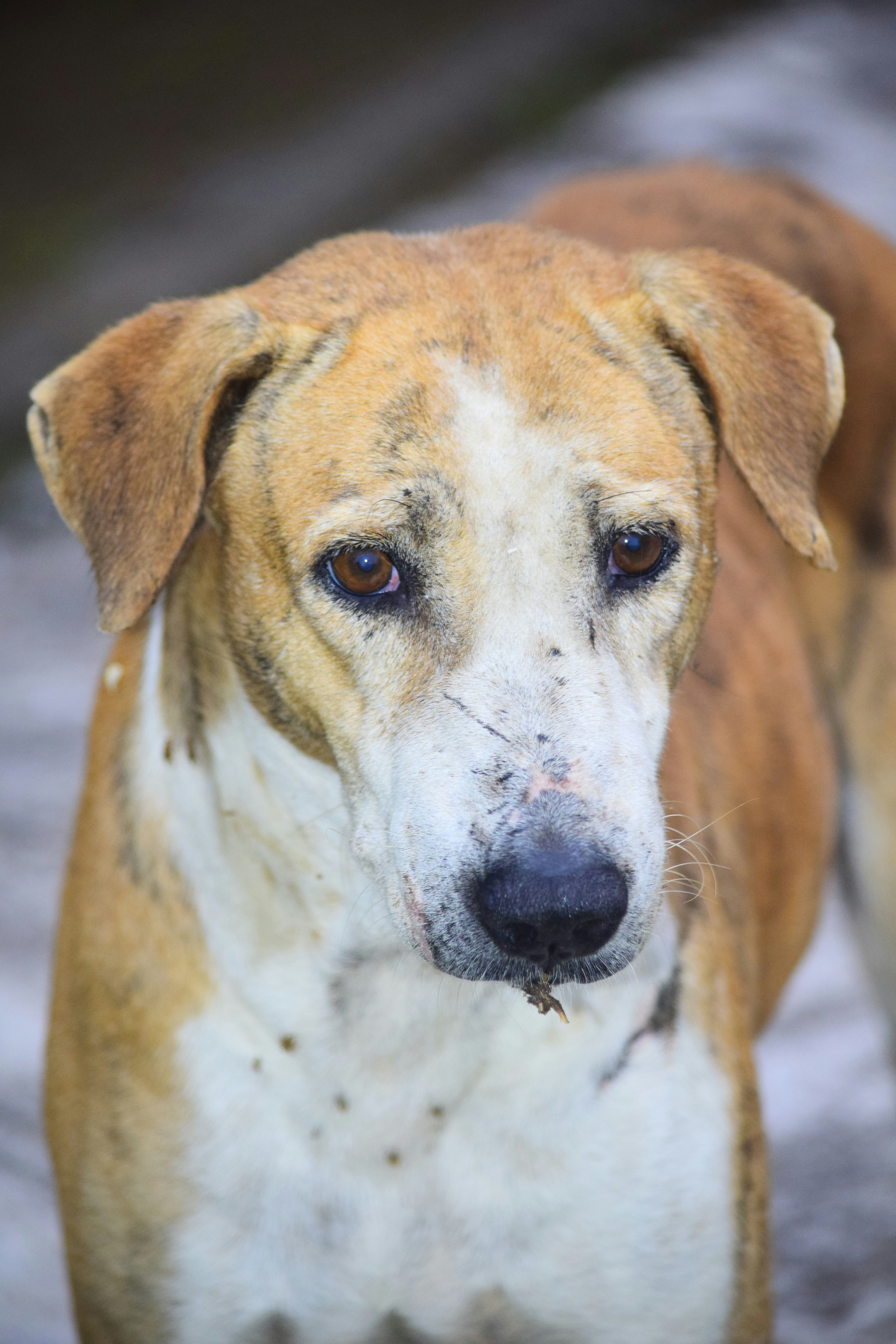 Photo by rrajputphotography