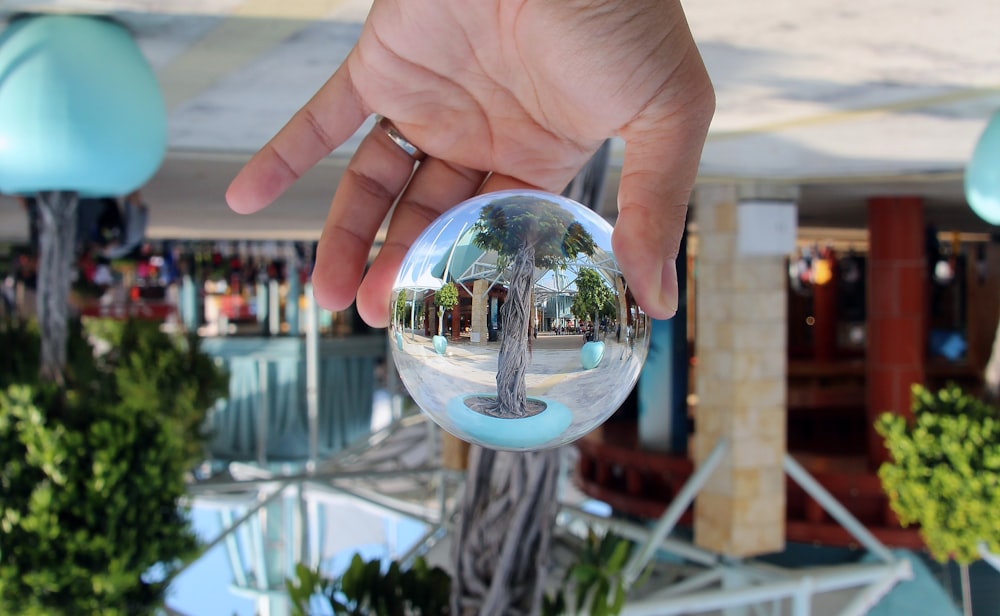 reflection of tree on mirror ball