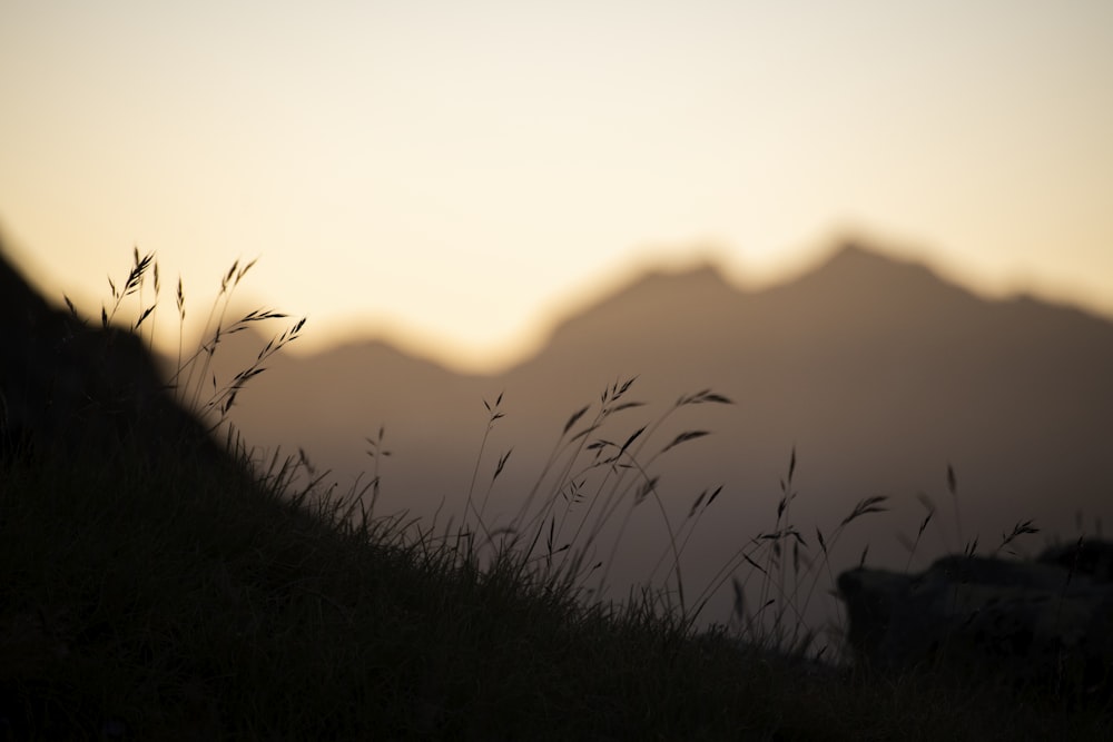 La sagoma di una collina erbosa con le montagne sullo sfondo