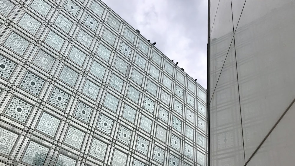 low-angle photo of glass building under white sky