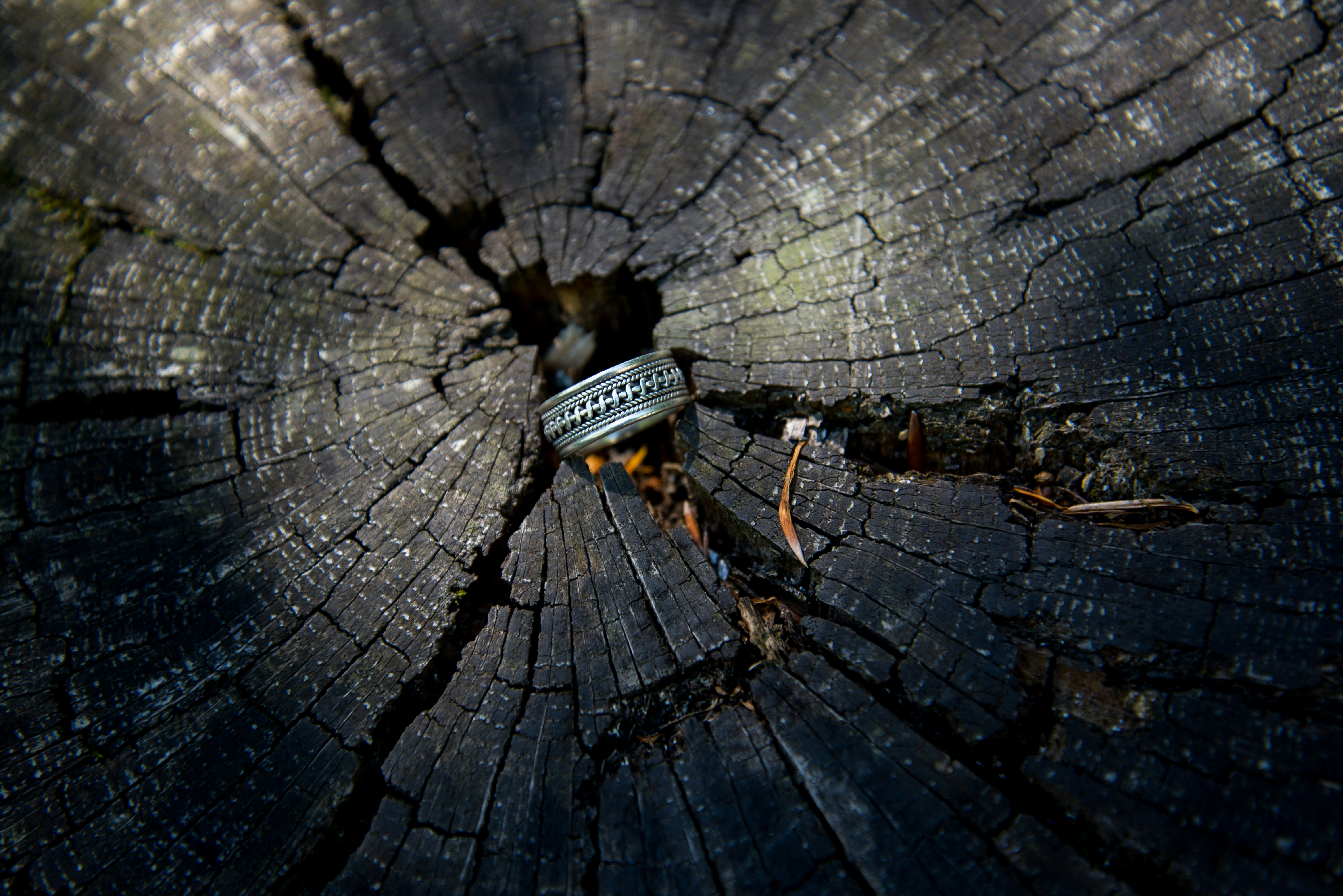 Photo by robklarmann