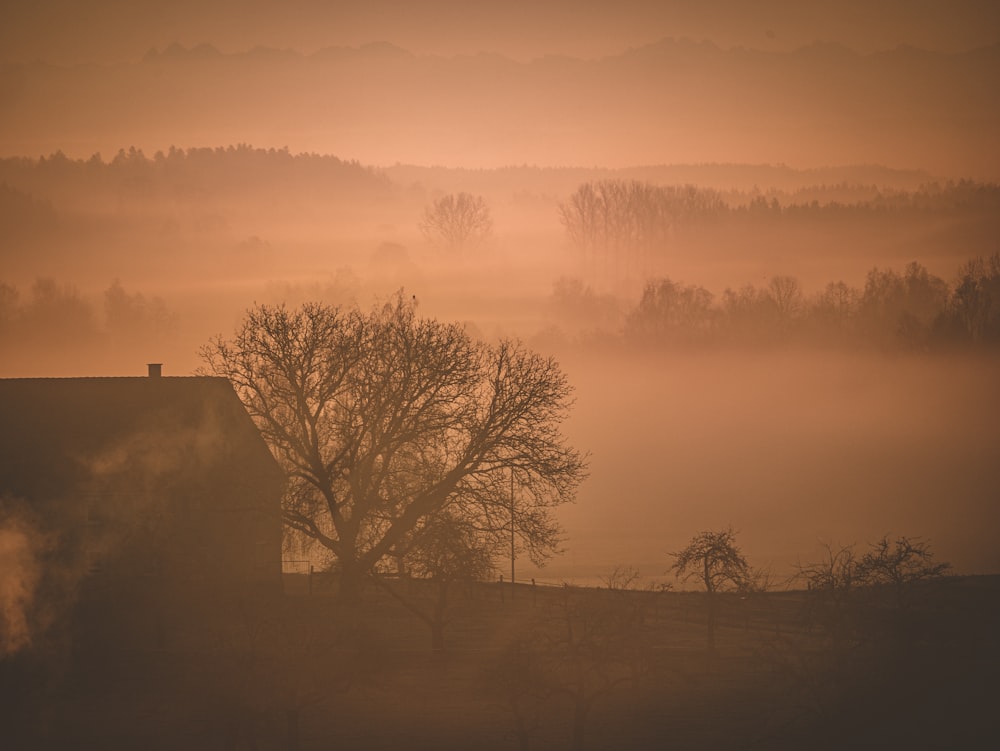 a foggy landscape with a house and trees