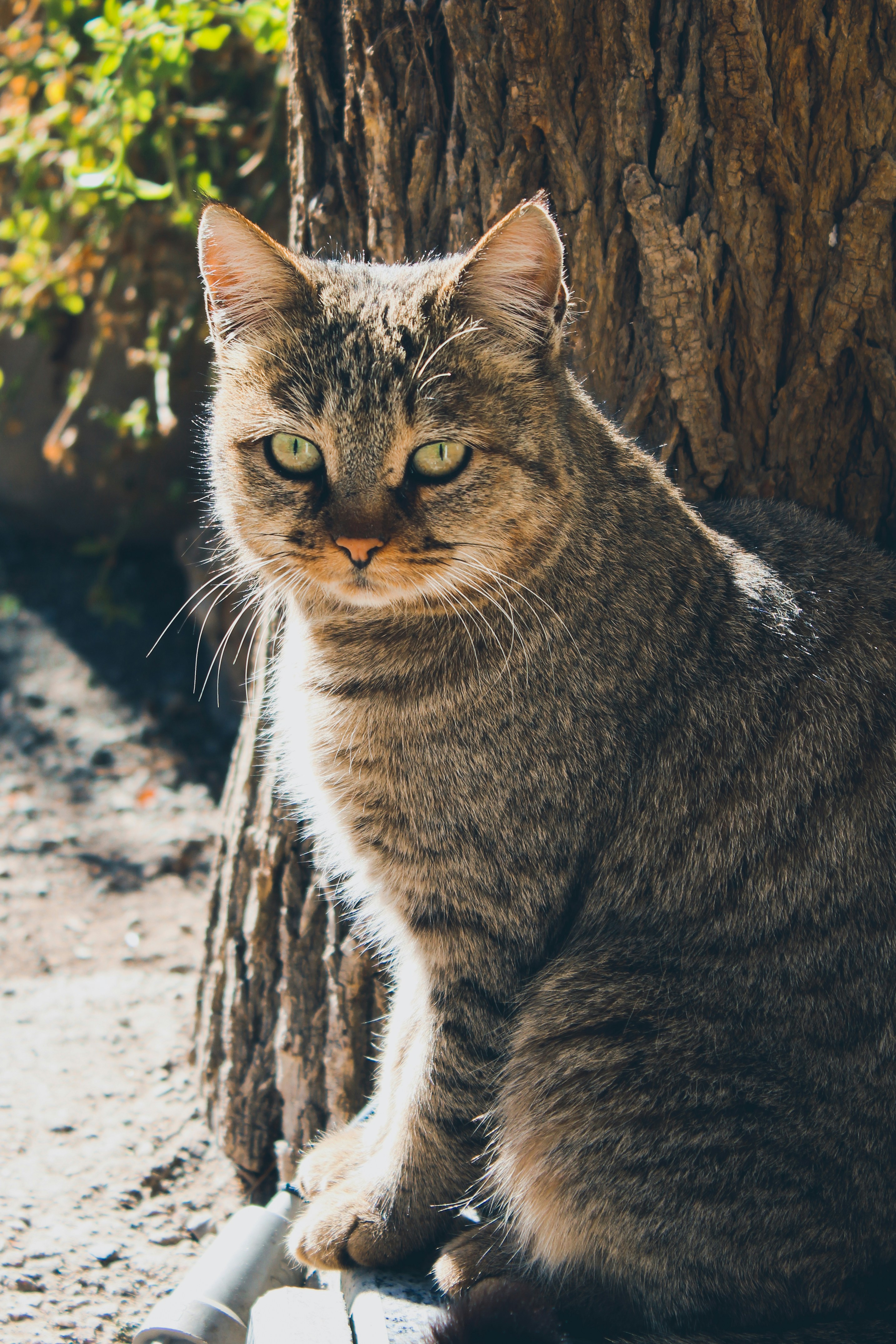 Photo by nasimkeshmiri