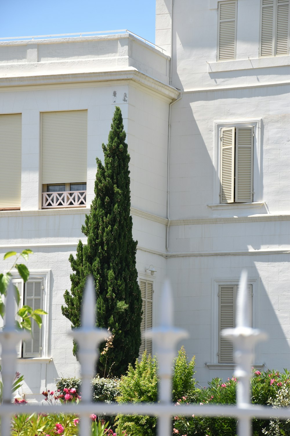 흰색 콘크리트 다층 건물 외부의 녹색 잎 나무