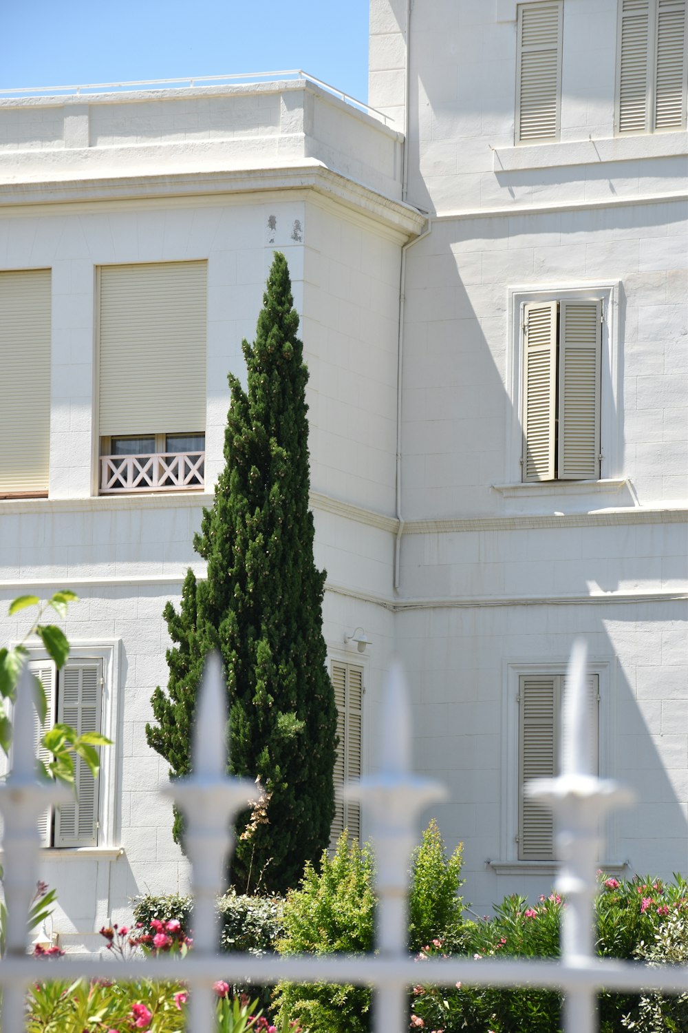 green-leafed tree outside a white concrete multi-storey building