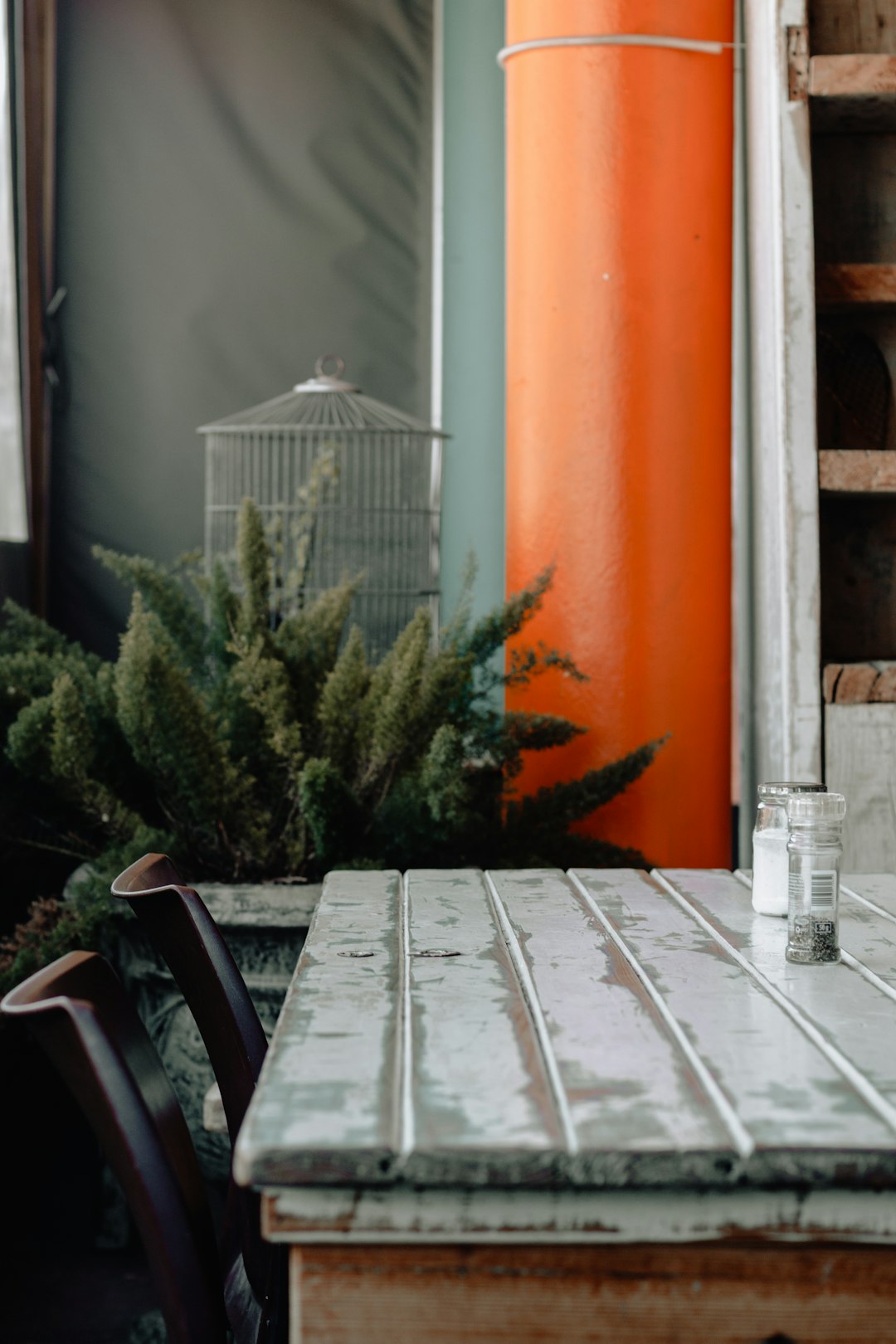 white metal birdcage near the table