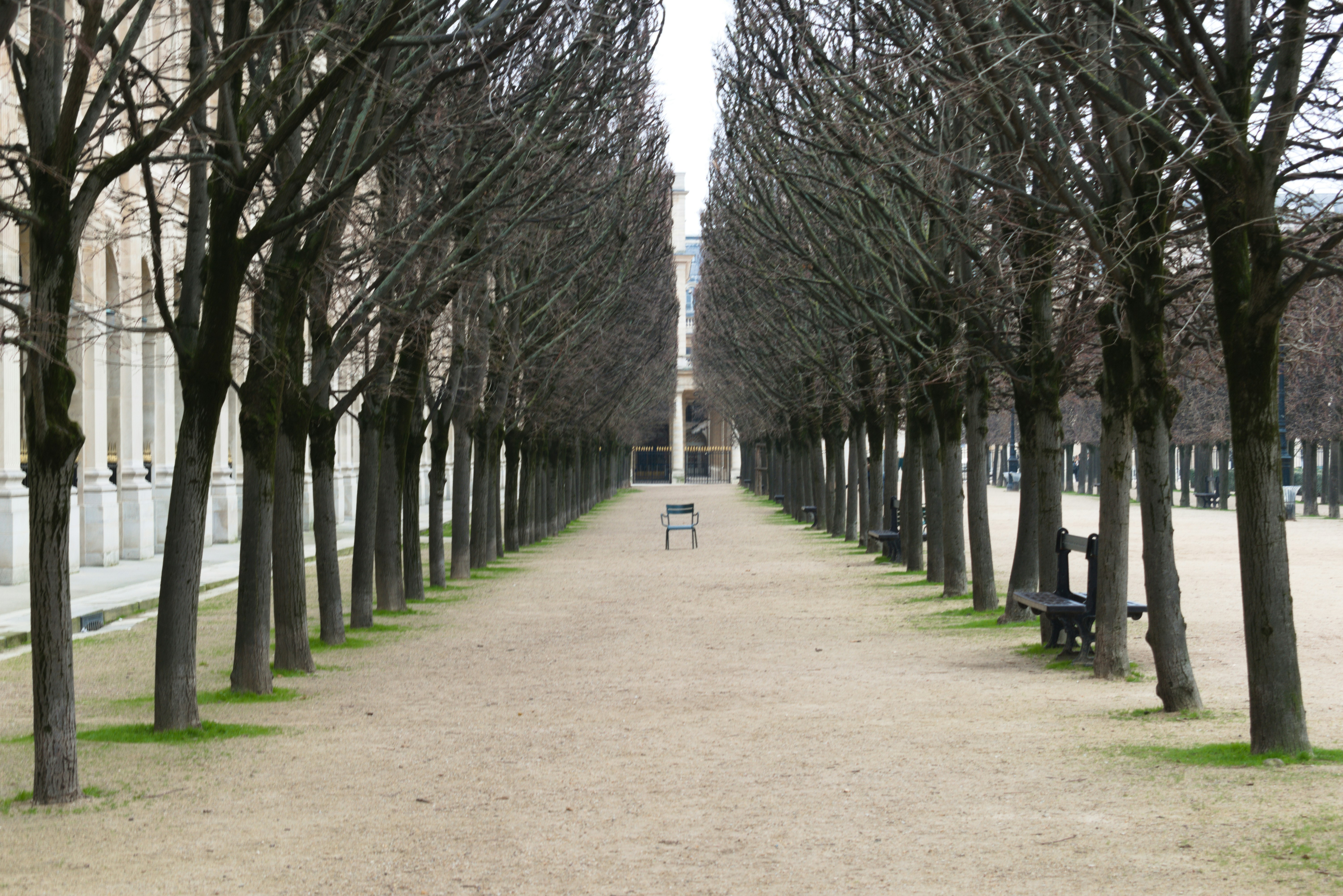 gray armchair in the middle of pathway surrounded with green trees viewing buildings