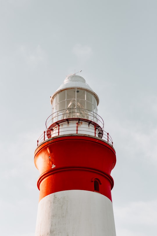 low-angle photography of white and red lighthouse during daytime in Agulhas National Park South Africa