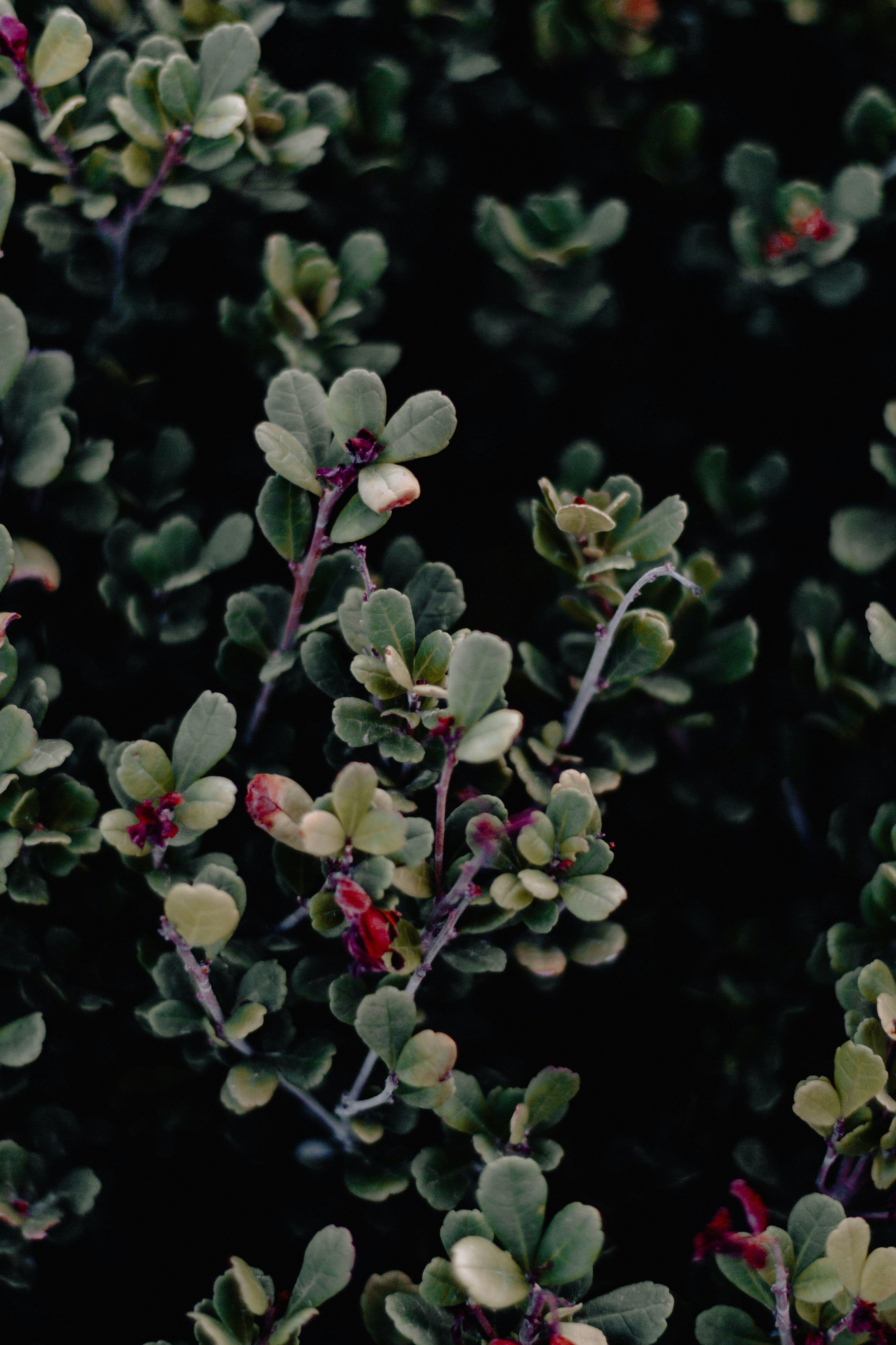 Photo by sincerelymedia