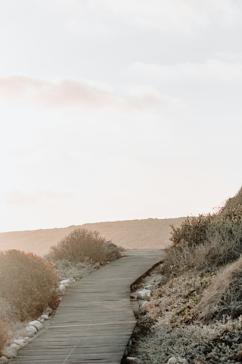 gray wooden pathway under white sky