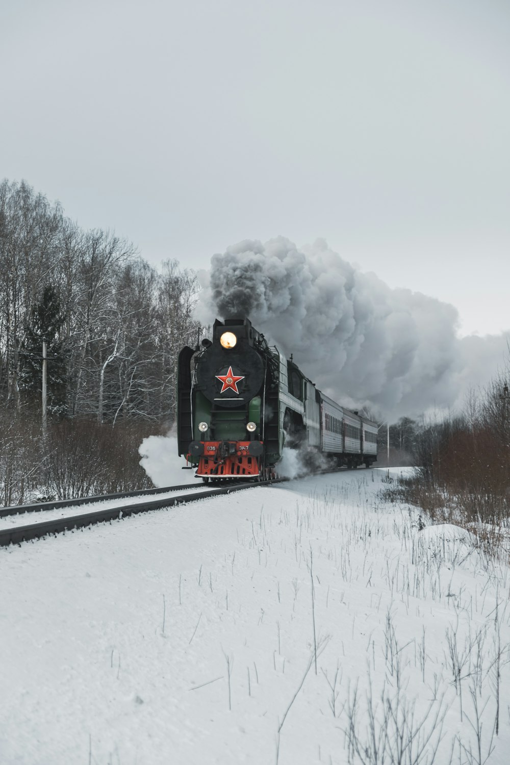 grey train photograph