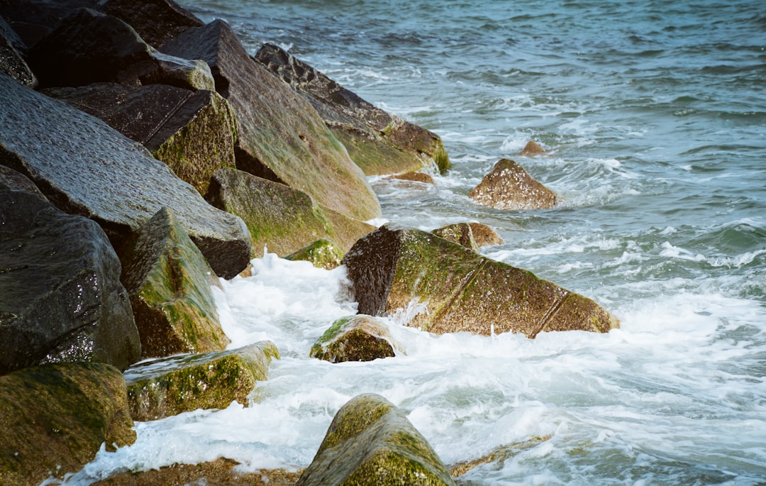 a bunch of rocks that are in the water,