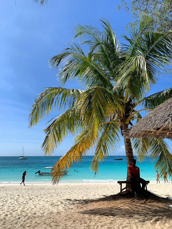Zanzibar, Tanzania photo 1
