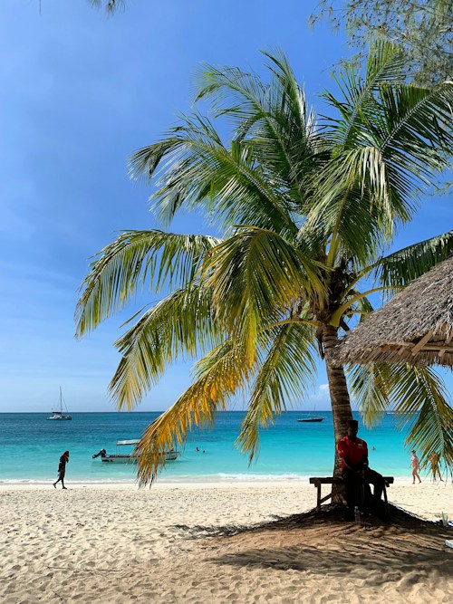 Top Things to Do in Zanzibar