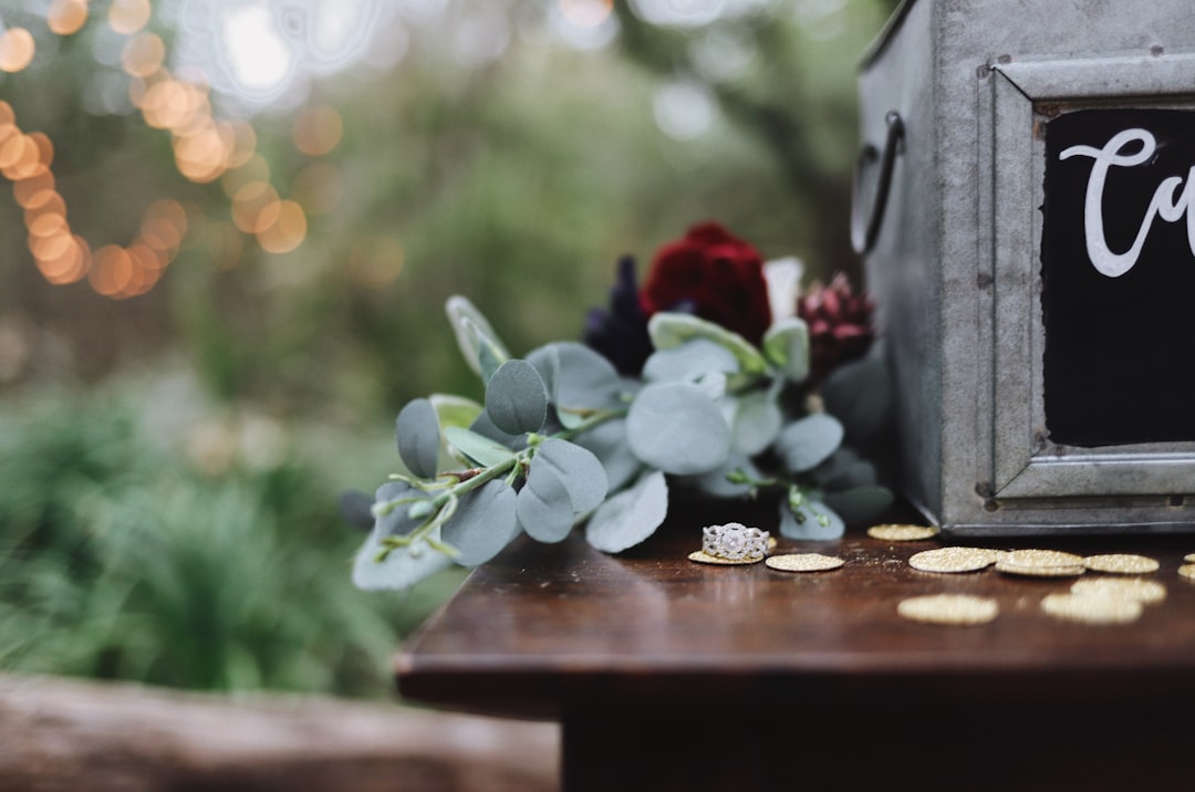 green succulent plant on edge of plank