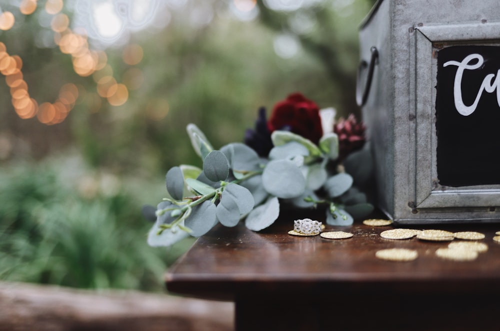 green succulent plant on edge of plank