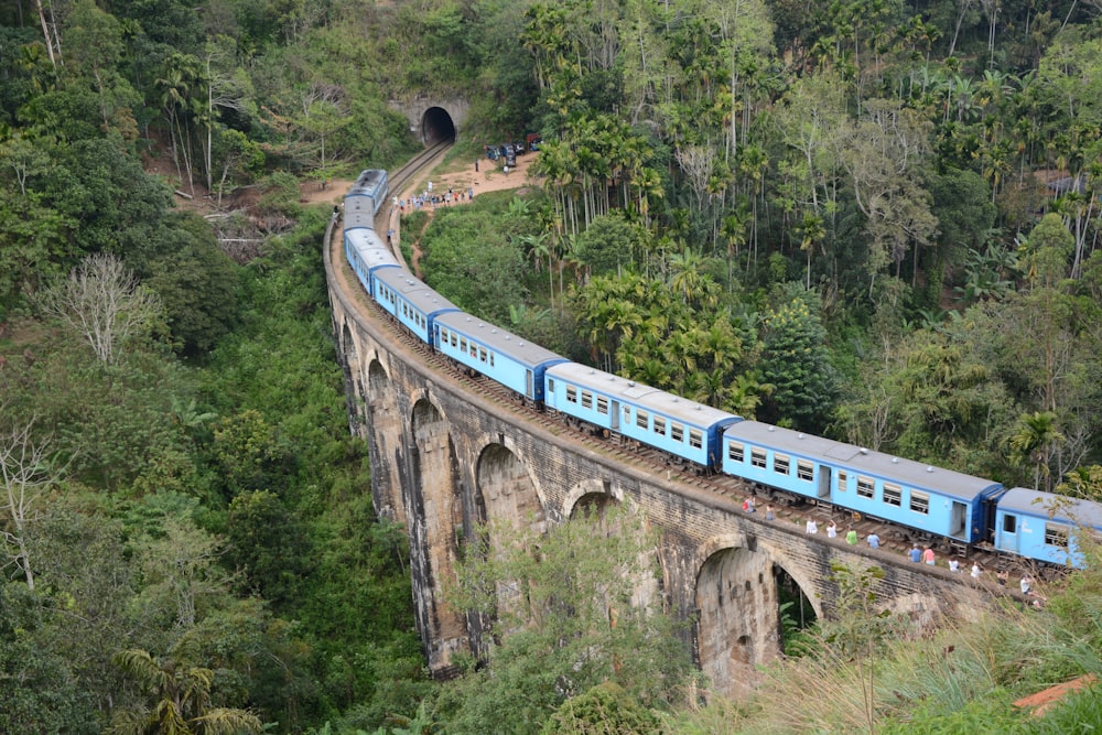 blue train on train station viewing forest during daytime