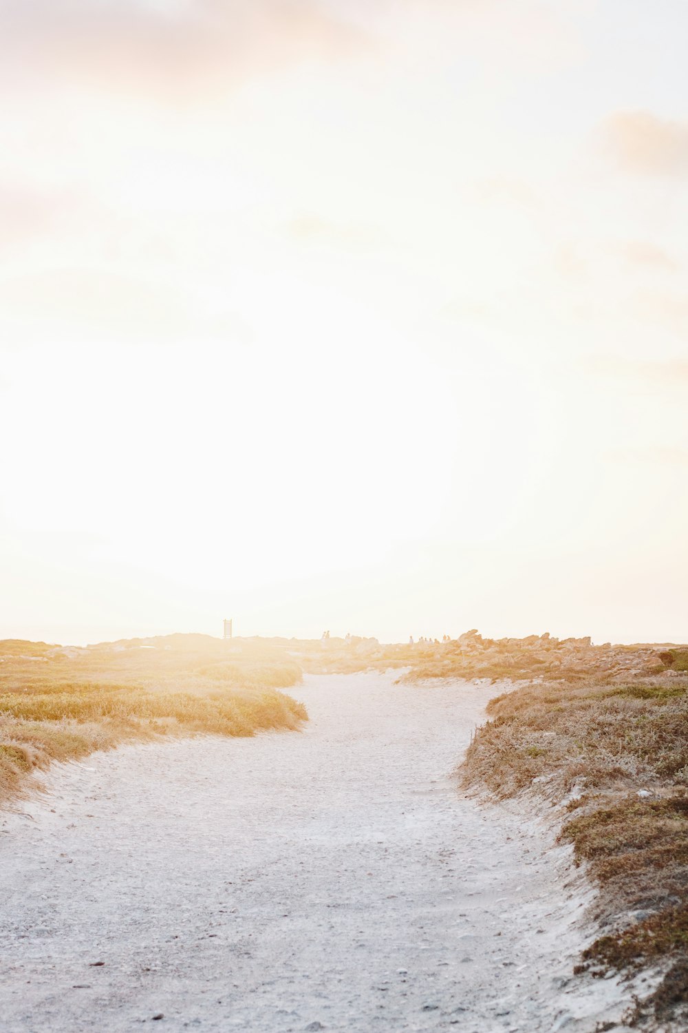 landscape photography of field during daytime