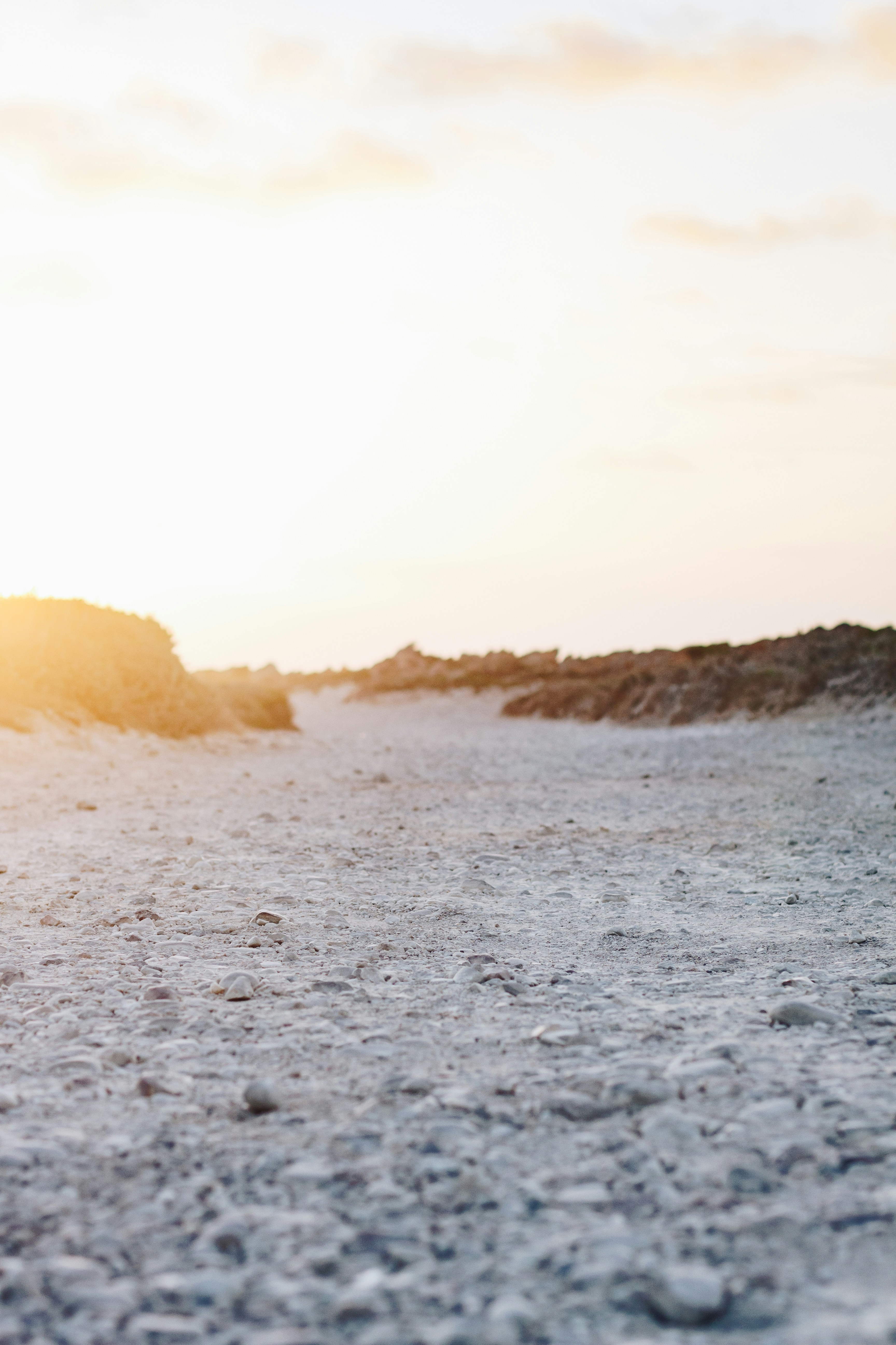 Photo by sincerelymedia