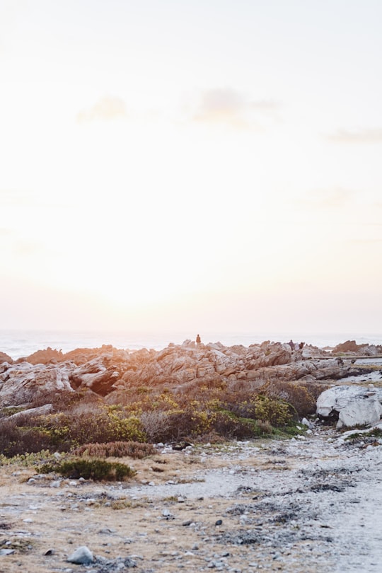 people standing on rocks viewing body of water during daytime in L'Agulhas South Africa