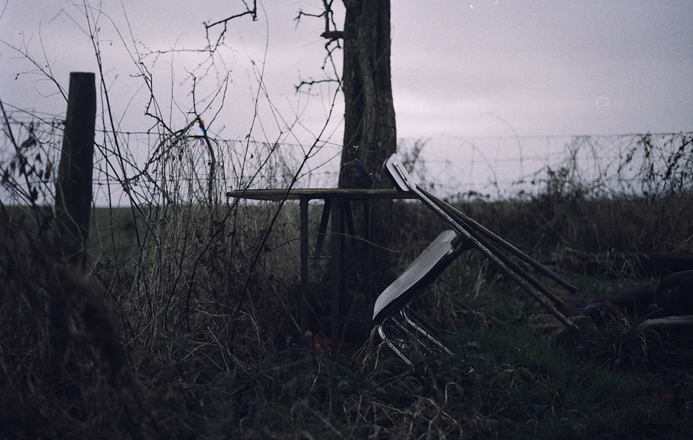 table and chair beside tree