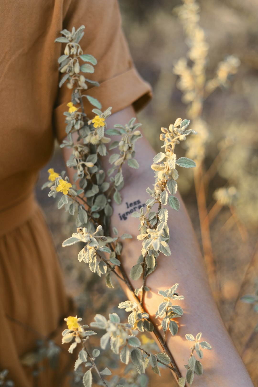 woman wearing brown dress holding green leaf plant