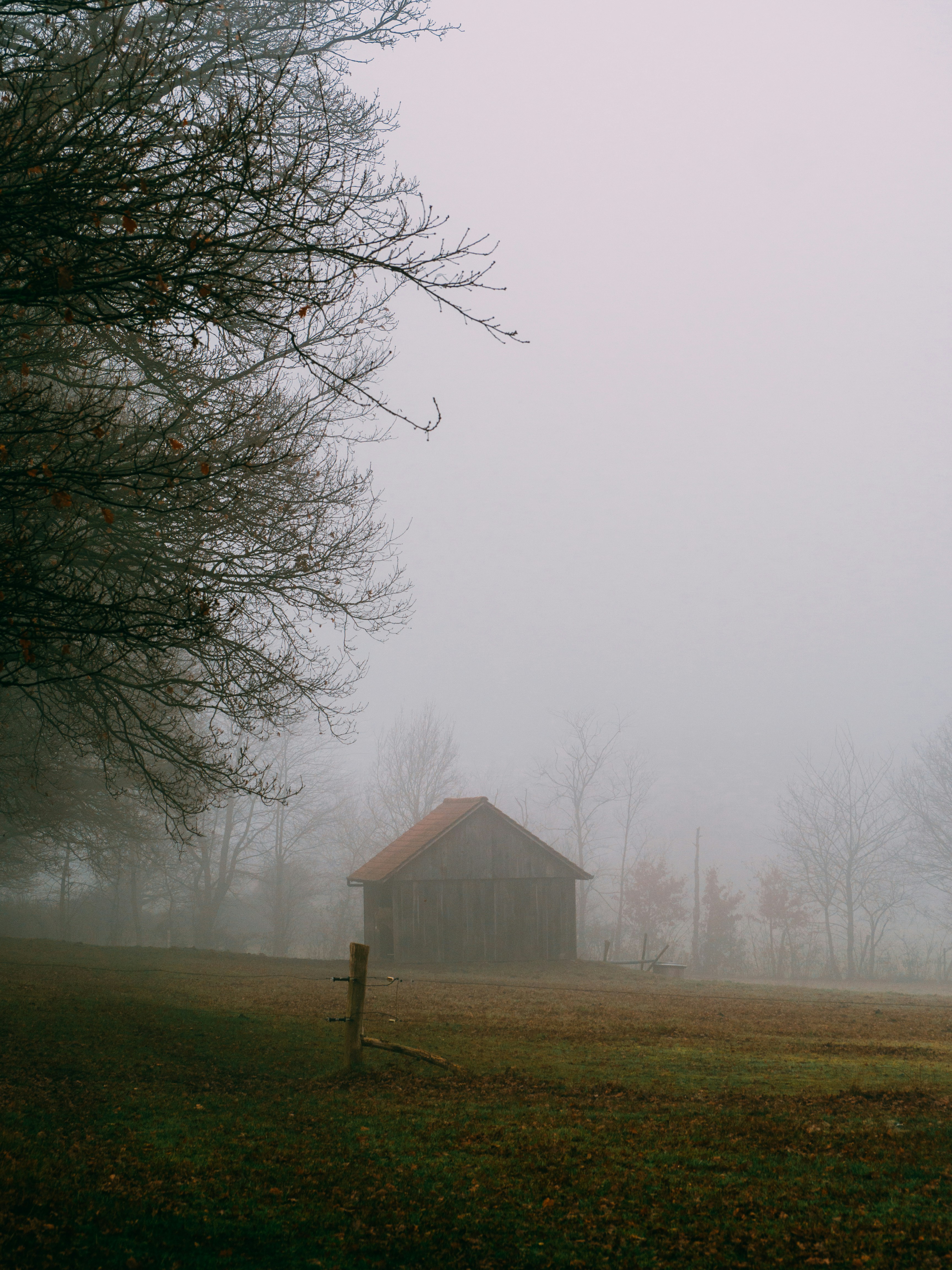 Photo by brechtdenil