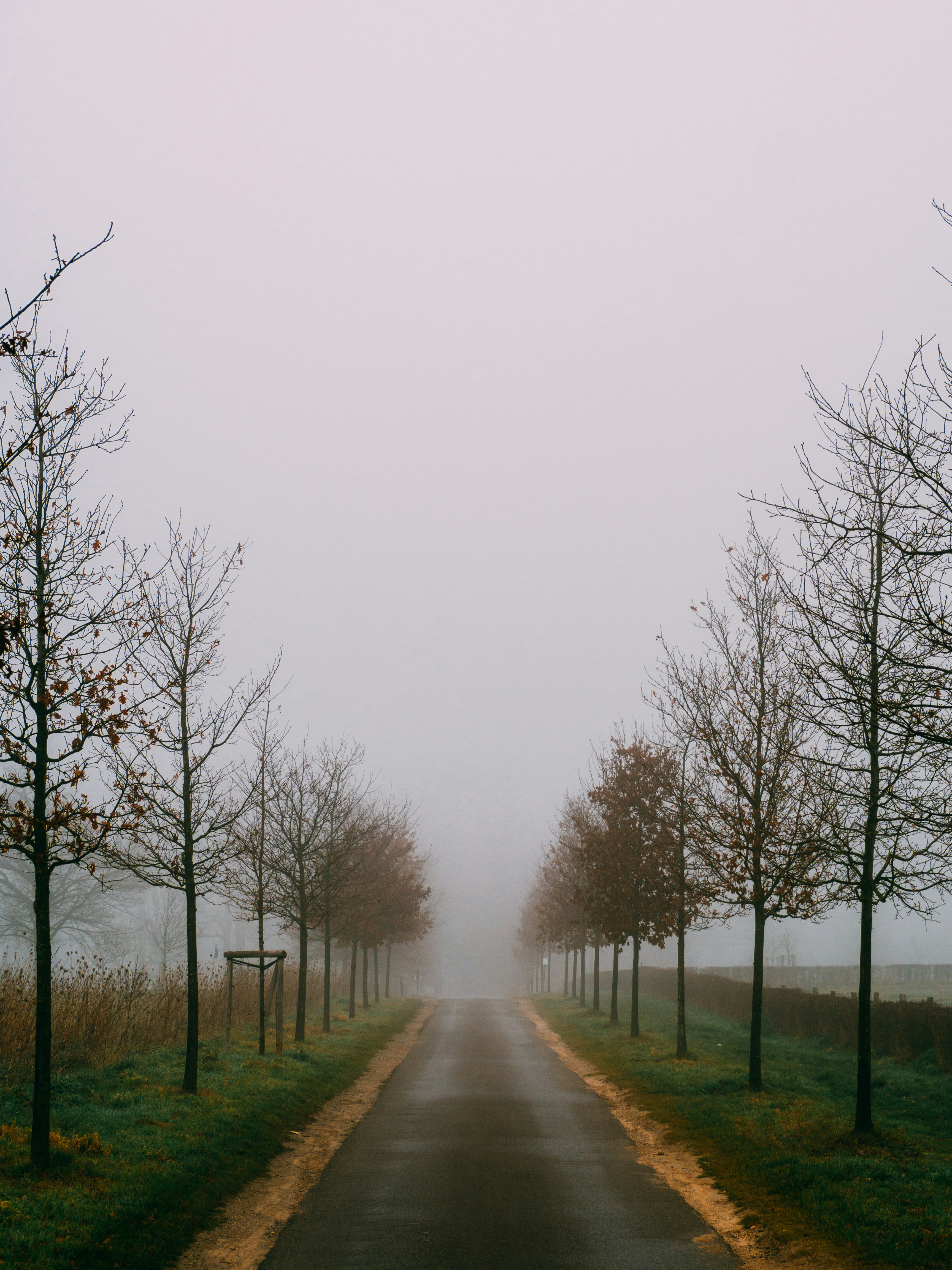 Photo by brechtdenil